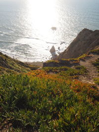 Scenic view of sea