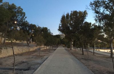 Empty road in park