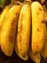 Close-up of vegetables