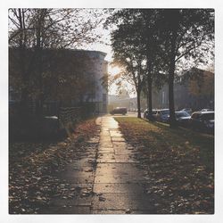 Road passing through forest