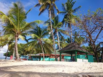 Palm trees on beach against sky