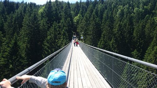People on footbridge amidst trees at forest