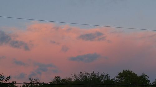 Low angle view of trees against sky at sunset