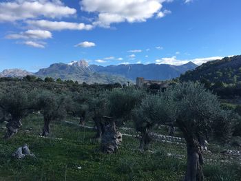 Panoramic view of landscape against sky