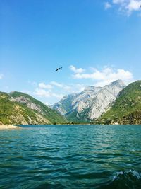 Bird flying over lake against sky