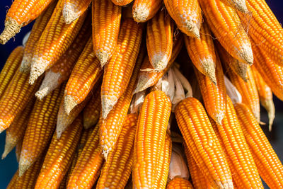 Full frame shot of corn on the cob