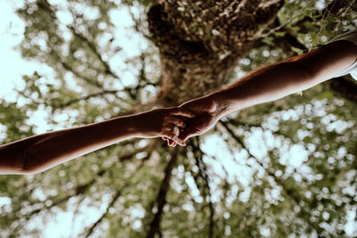 Cropped hand of person holding plant