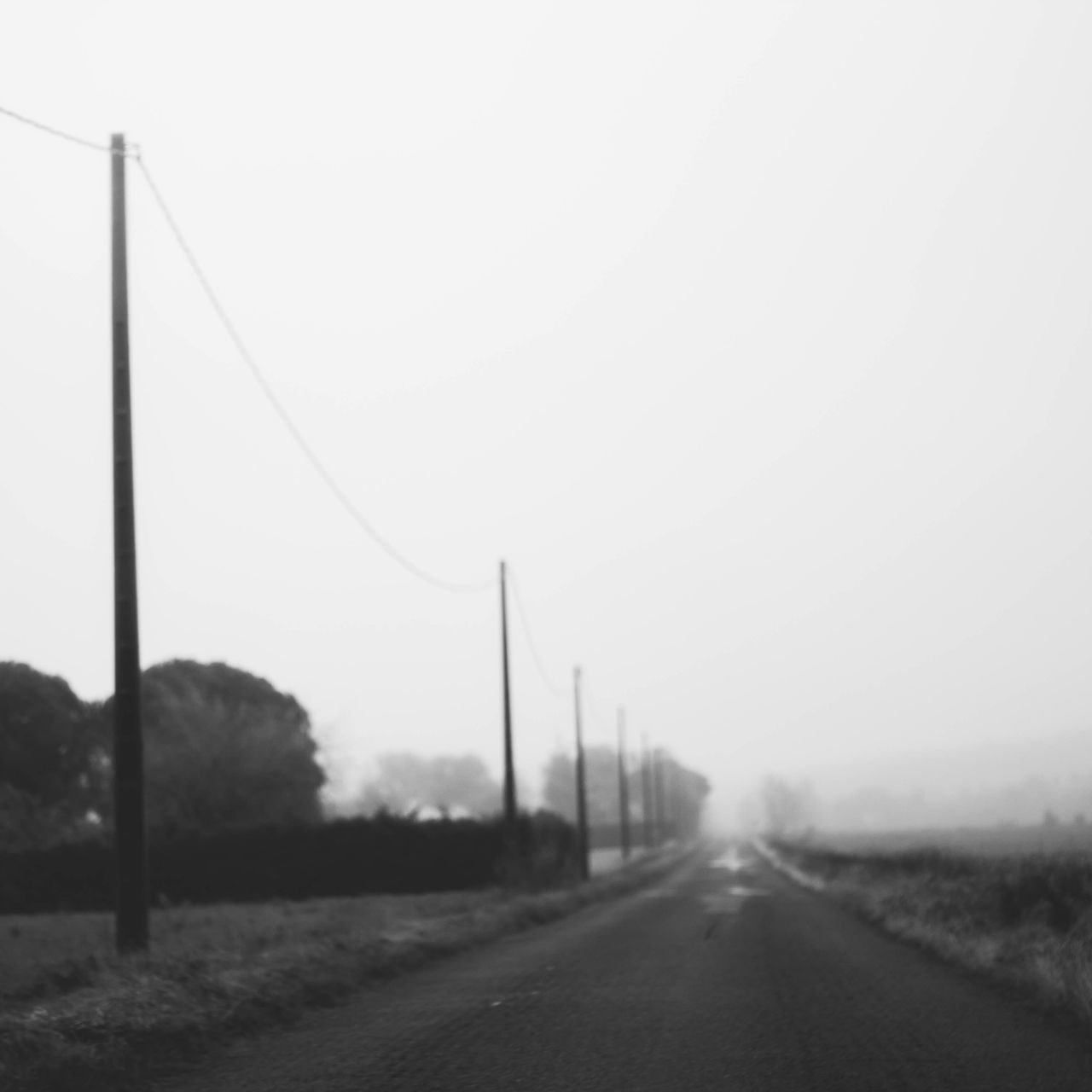 the way forward, diminishing perspective, road, clear sky, vanishing point, transportation, country road, copy space, empty road, tranquility, tranquil scene, landscape, field, long, nature, empty, sky, road marking, foggy