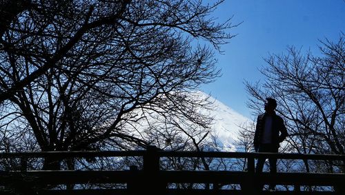 Low angle view of silhouette bare tree against clear sky