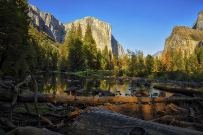 Scenic view of lake and trees against sky