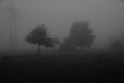 Silhouette trees on field against sky at night