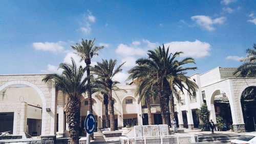 View of palm trees against built structure