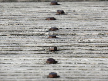 Wooden planks with bolts