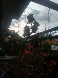 View of flowering plants against cloudy sky seen through window