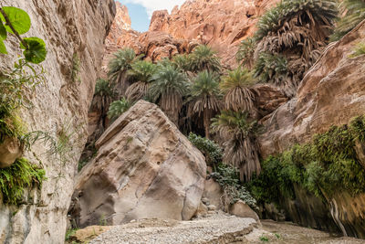 wadi