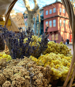 Close-up of yellow flowering plants in market