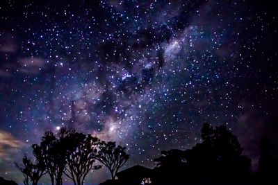 Low angle view of silhouette trees against sky at night