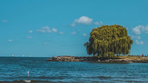 Scenic view of sea against sky