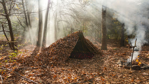 Survival debris hut shelter in the wilderness. bushcraft campfire and camping gear. cottagecore