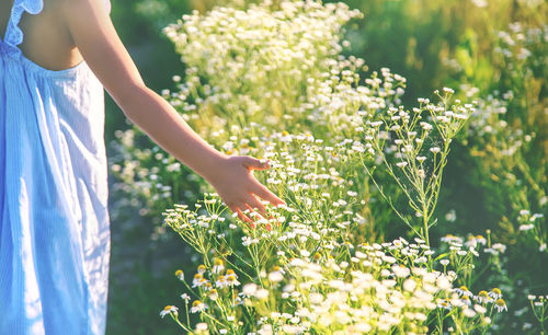 Midsection of girl touching flowers