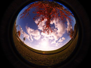 Low angle view of sky