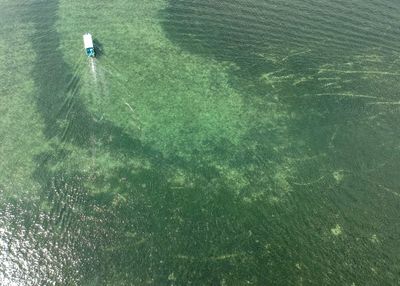 High angle view of man in sea