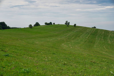 Scenic view of field against sky