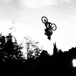 silhouette