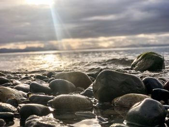 Close-up of pebbles on beach against sky during sunset