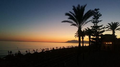 Silhouette palm trees on beach against sky at sunset