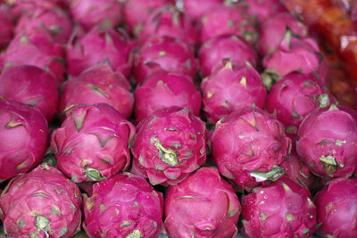 Full frame shot of pitayas for sale at market