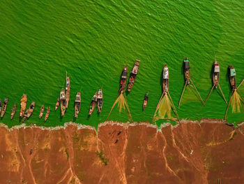 High angle view of plants by river