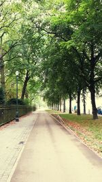 Road amidst trees