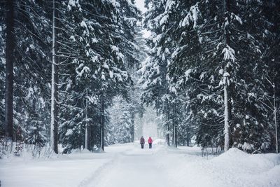 Rear view of people walking on snow covered field