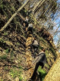 Full length of woman standing on tree trunk