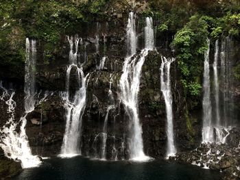 Scenic view of waterfall in forest
