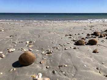 Stones on beach against sky
