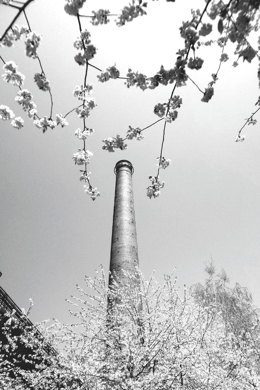 low angle view, built structure, architecture, building exterior, tower, tall - high, sky, tree, day, bare tree, clear sky, city, no people, outdoors, famous place, travel destinations, metal, branch, communications tower, history