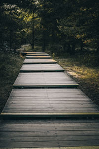 Empty footpath in forest