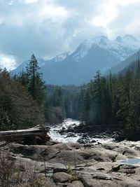 Scenic view of forest and mountains against sky