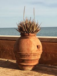 Close-up of potted plant on beach against sky