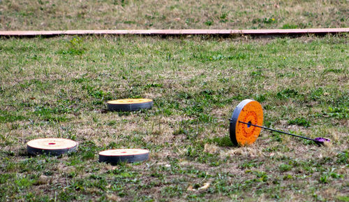 High angle view of grass on field
