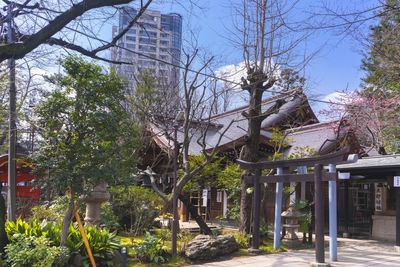 Trees and plants growing outside building against sky