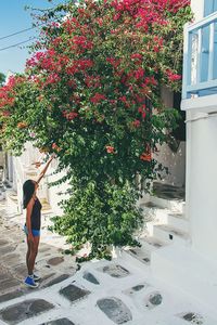 Full length of woman reaching towards flowers growing on plant by house