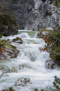 Scenic view of waterfall in forest