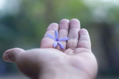 Close-up of hand holding white flower