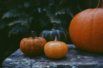 Close-up of wet pumpkins on table