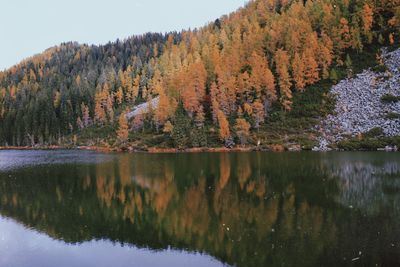 Scenic view of lake in forest during autumn