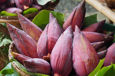 Vegan banana blossom for sale in fresh market , anti-aging, low calorie, high fiber and antioxidant