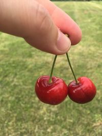 Close-up of hand holding strawberry